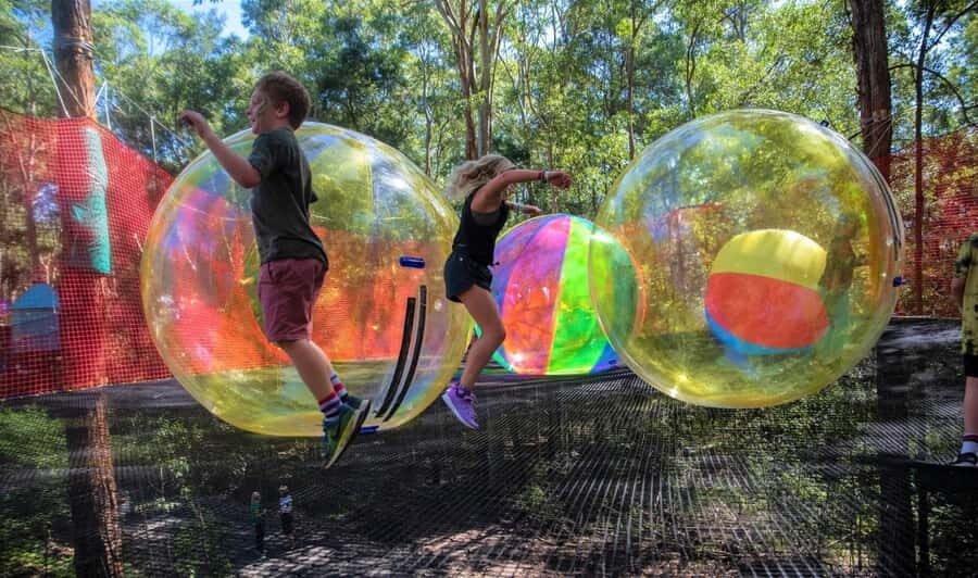 Canberra: Networld Treetop Adventure - The Experience in Detail  