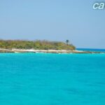 Catalina Island & Snorkeling Tour - Value for Money: Is It Worth $90?