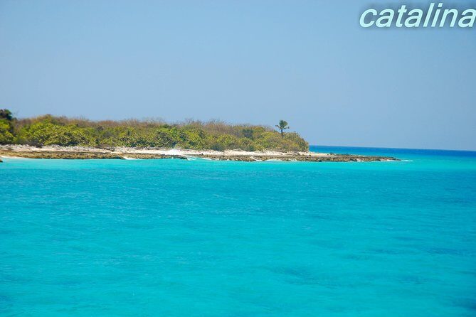 Catalina Island & Snorkeling Tour - Value for Money: Is It Worth $90?