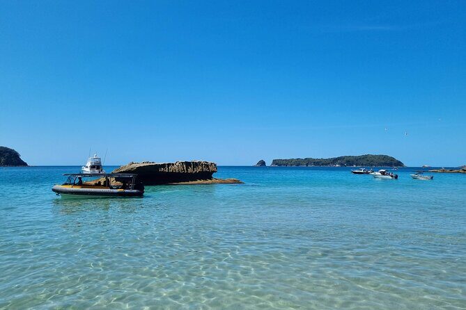 Cathedral Cove 2 Hour Guided Tour Explore Marine Wonders - Price and Value