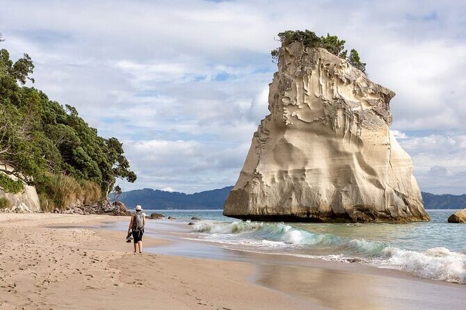 Cathedral Cove & Hot water beach -Full Day Tour: PRIVATE TOUR - Why Choose This Tour?