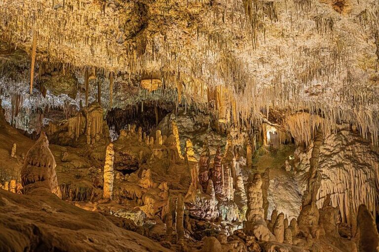 How to Book Caves of Hams Tickets in Mallorca