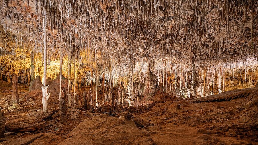 Lit walkway through a chamber inside the Caves of Hams Mallorca