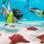 Cayman Combo Tour: Stingrays, Starfish Point and Crystal Caves - Stop 1: Stingray City — A Must-Do Encounter
