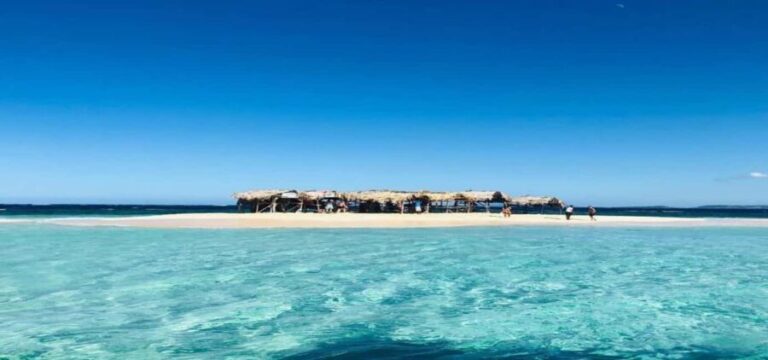 Cayo Arena & Mangroves Tour with Snorkeling & Food - Value for Money and Overall Impression