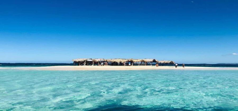 Cayo Arena & Mangroves Tour with Snorkeling & Food - Value for Money and Overall Impression