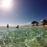 Cayo Arena: Paradise Island and Mangroves Tour - What to Expect From Your Day