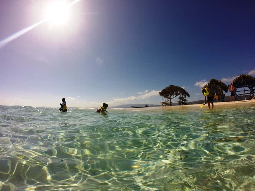 Cayo Arena: Paradise Island and Mangroves Tour - What to Expect From Your Day