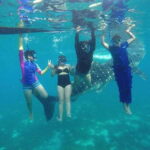 Cebu 2 Days Highlights Tour - FAQ