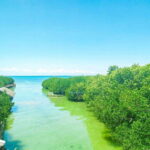 Cebu Bantayan Island Day Tour (Private Tour) - Who Is This Tour Best For?