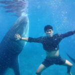 Cebu: Oslob Whale Shark Encounter & SUMILON with Transfers - Starting the Day: Pickup and Journey