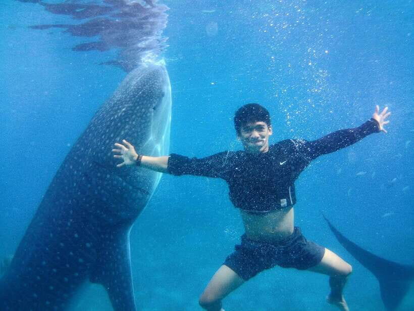 Cebu: Oslob Whale Shark Encounter & SUMILON with Transfers - Starting the Day: Pickup and Journey