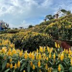 Cebu Private Half Day Highlands Tour with Food Options - What’s Included and What to Consider