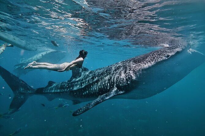 Cebu Tour Package 3D2N - Final Thoughts