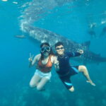 Cebu Whale Sharks Tumalog Falls Sumilon - Why This Tour Offers Great Value