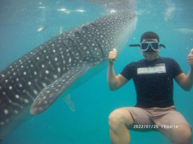 Cebu: Whaleshark Encounter, Tumalog Falls & Sumilon Sandbar - Final Thoughts: Who Is This Tour Best For?