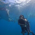 Cebu: Whaleshark Experince, Waterfalls & White Sand Wonders - Analyzing the Experience