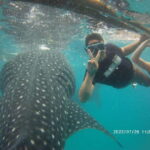 Cebu: WhaleShark , Tumalog Falls, & Sardine Run Snorkeling - FAQ