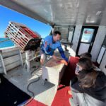 Cervantes: Lobster Catching Tour - Why This Tour Offers Excellent Value