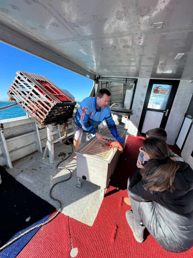 Cervantes: Lobster Catching Tour - Why This Tour Offers Excellent Value