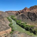 Charyn: Full-Day Canyon Adventures with Picnic and Hiking - The Itinerary Breakdown