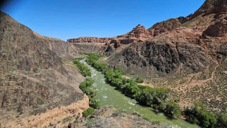 Charyn: Full-Day Canyon Adventures with Picnic and Hiking - The Itinerary Breakdown