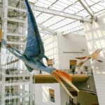 Chengdu: Natural History Museum Guided Tour - Why the Guided Tour Works