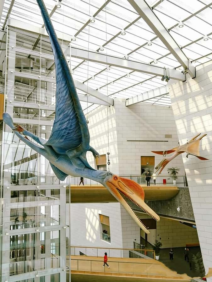 Chengdu: Natural History Museum Guided Tour - Why the Guided Tour Works