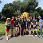 Chengdu: Panda Base Half-day Tour or Panda & Buddha Day Tour - Comparing Tour Options