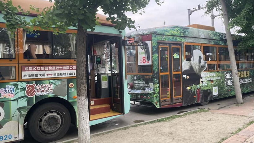 Chengdu: Private Tour at Panda Base with Guide - Why This Tour Is a Great Choice