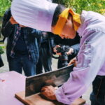 Chengdu: Sichuan Cuisine Museum Entry with Tasting - FAQ