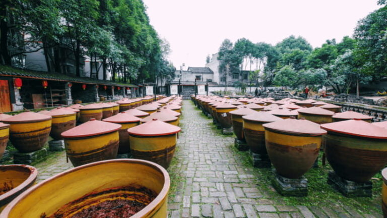 Chengdu: Sichuan Cuisine Museum Entry with Tasting - The Experience: What to Expect at the Sichuan Cuisine Museum