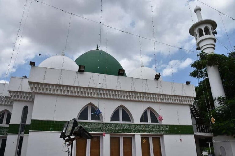Chennai: Botanical Garden, Thousand Lights Mosque & Bazaar - Practicalities and Tips for the Tour