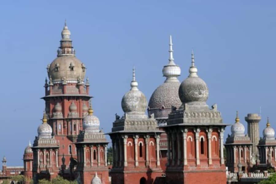 Chennai: Full-Day City Tour with Marina Beach & Lunch - Authentic Insights from Recent Travelers