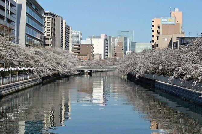 Cherry Blossom Sightseeing River Boat Experience - The Experience: What We Love & What to Consider  