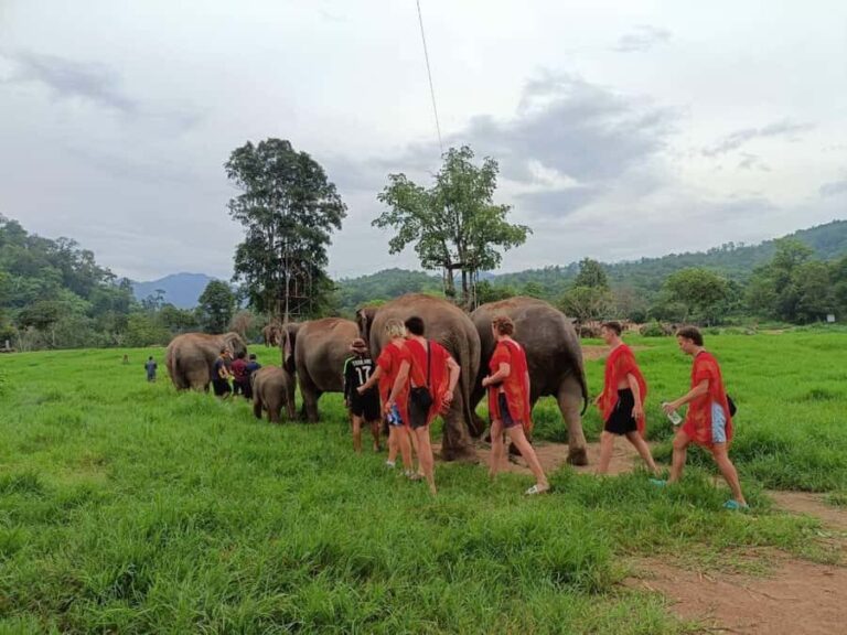 Chiang Mai : ATV Tour + Elephant Care - Practical Details — What You Need to Know