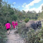 Chiang Mai Elephant Watch and Wang River Rafting - Transportation, Timing, and Group Size
