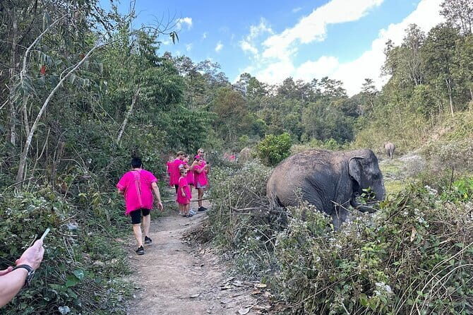 Chiang Mai Elephant Watch and Wang River Rafting - Transportation, Timing, and Group Size