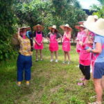 Chiang Mai: Full-Day Thai Cooking Experience at a Local Farm - The Sum Up