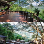 Chiang Mai: The Giant Café & Mae Kampong Village Day Trip - Practical Details and Value