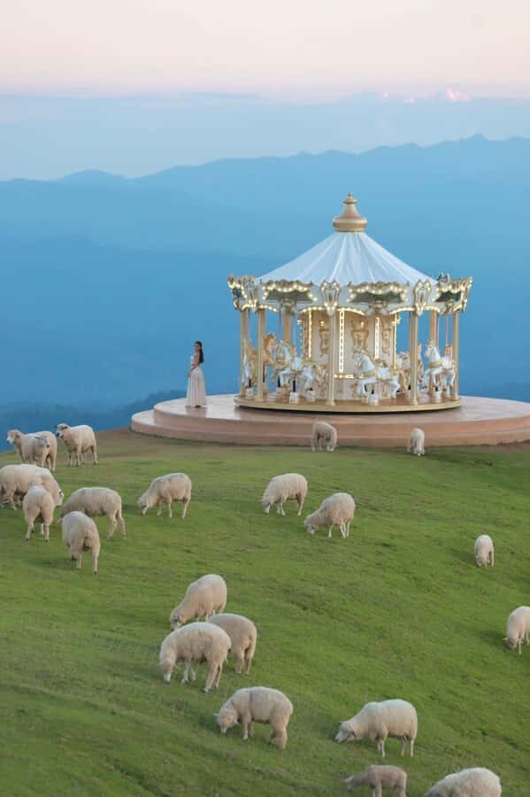 Chiang Mai: White Temple, Singha Park & Akha Farm Tour - Practical Details and What You Should Know