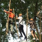 Chiang Mai Zipline Adventure with Lunch and City Hotel Pickup - The Scenic and Culinary Highlights