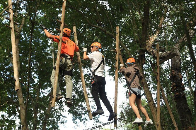 Chiang Mai Zipline Adventure with Lunch and City Hotel Pickup - The Scenic and Culinary Highlights