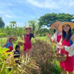 Chiang Mai:Farm-to-Table Cooking Class & Buatong Waterfall - Why This Tour Holds Strong Value