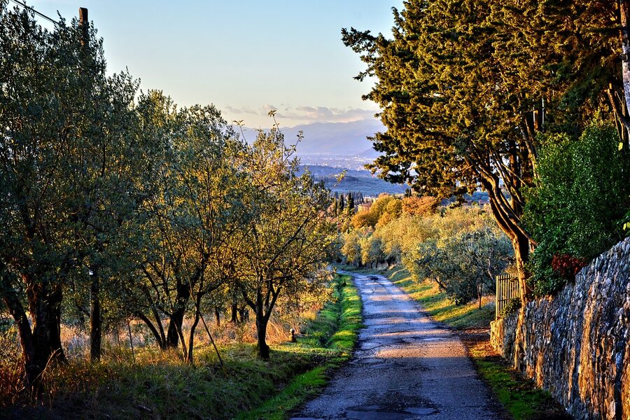 Cypress-lined country road on the way into Chianti from Florence