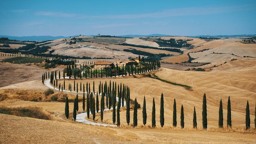 Cypress-lined country road through the Tuscan Chianti hills
