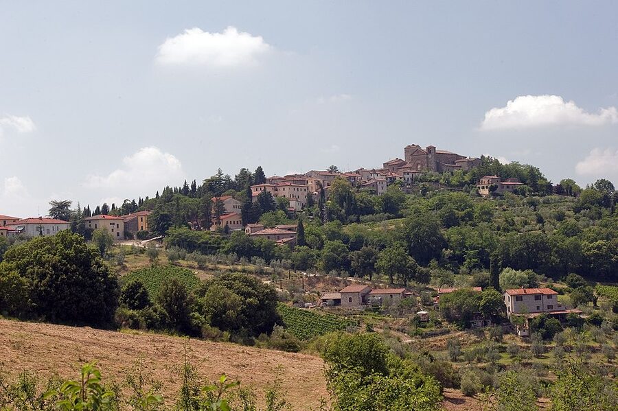 Panzano in Chianti panorama with surrounding vineyards