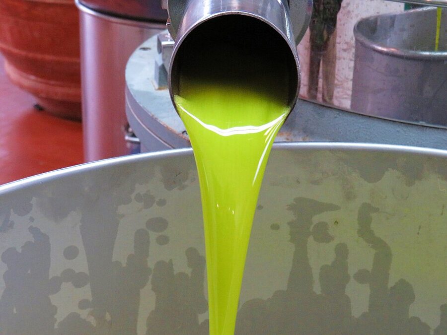 Fresh extra-virgin olive oil running out of a Tuscan stone mill