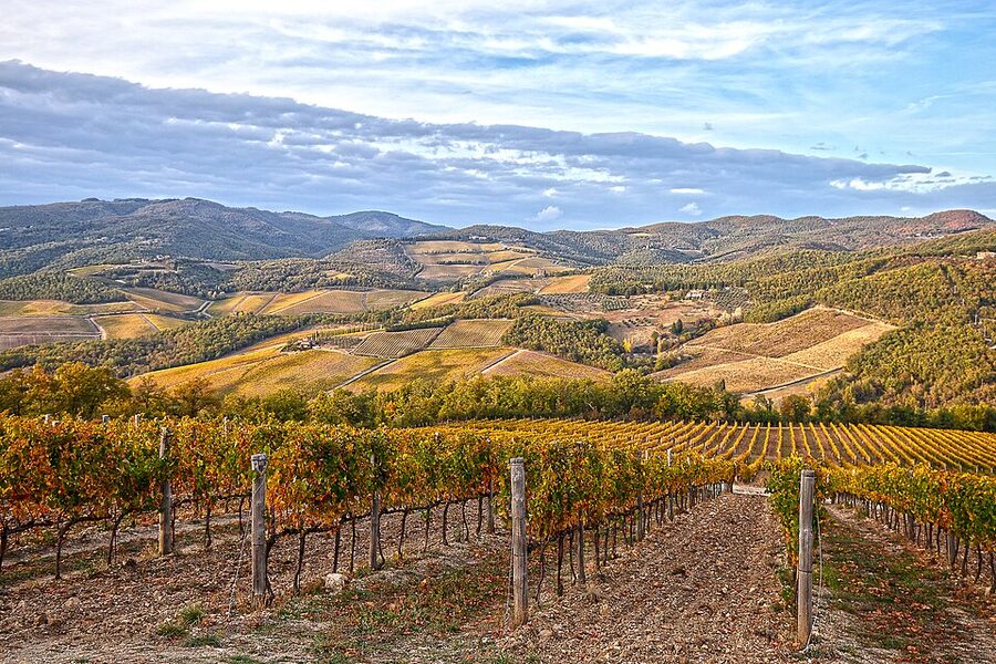 Chianti Classico vineyards in autumn near Radda