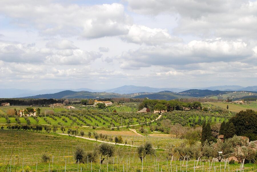 Chianti vineyards stretching to the horizon under a spring sky